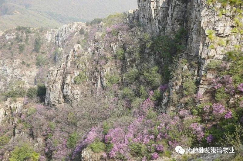 918博天堂·(中国集团)最新官方网站