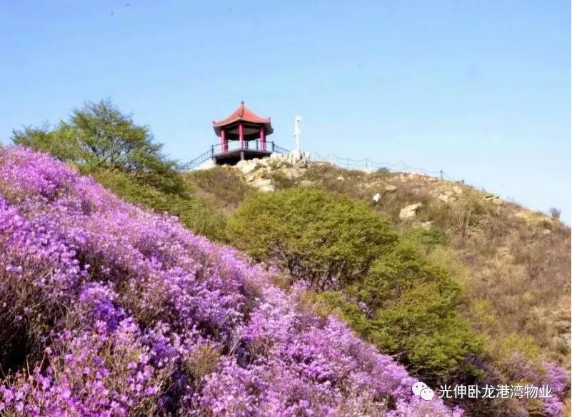 918博天堂·(中国集团)最新官方网站