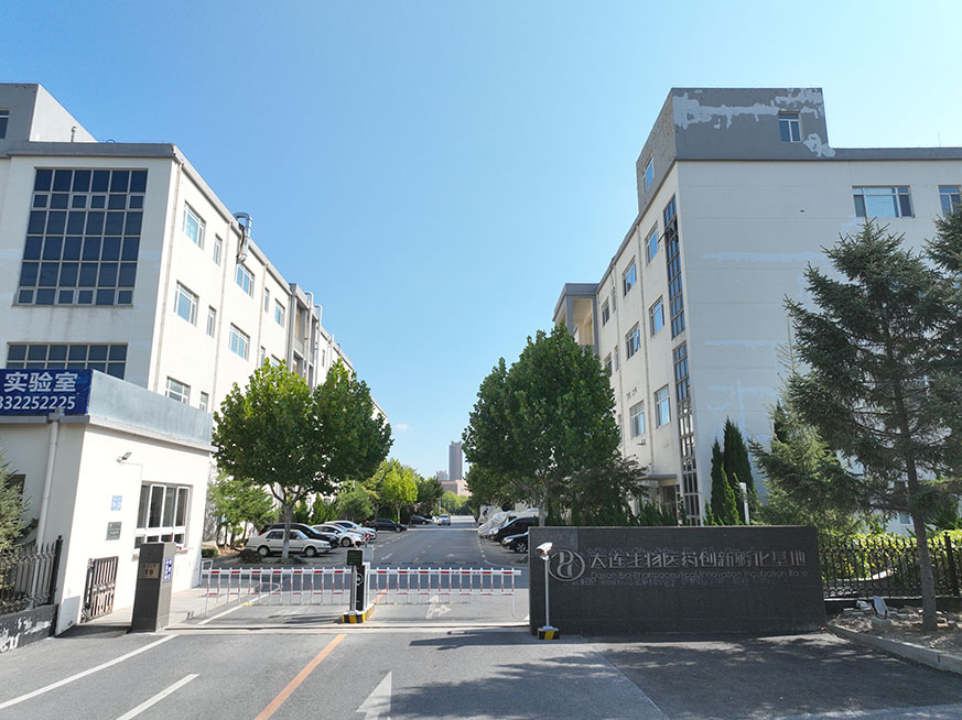 大连918博天堂企业集团